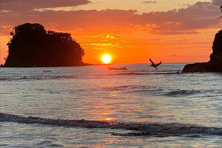 Pura Vida Day Trip - Photo 1 of 7